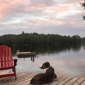 Meet your Posher, Victoria